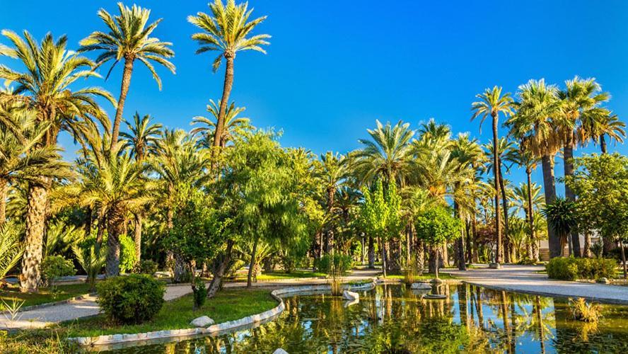 Low Cost Apartments Center Elche Eksteriør billede
